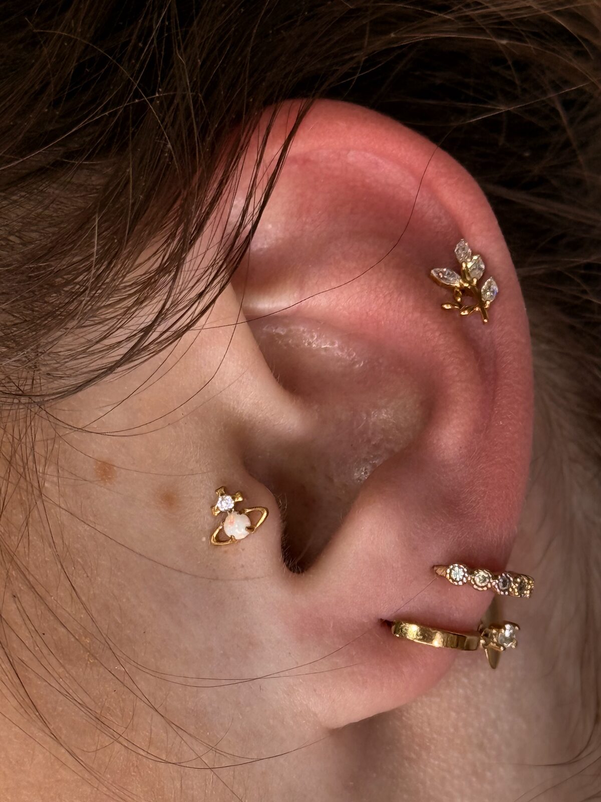 Oreja curada con helix, conch y lóbulos con joyas doradas