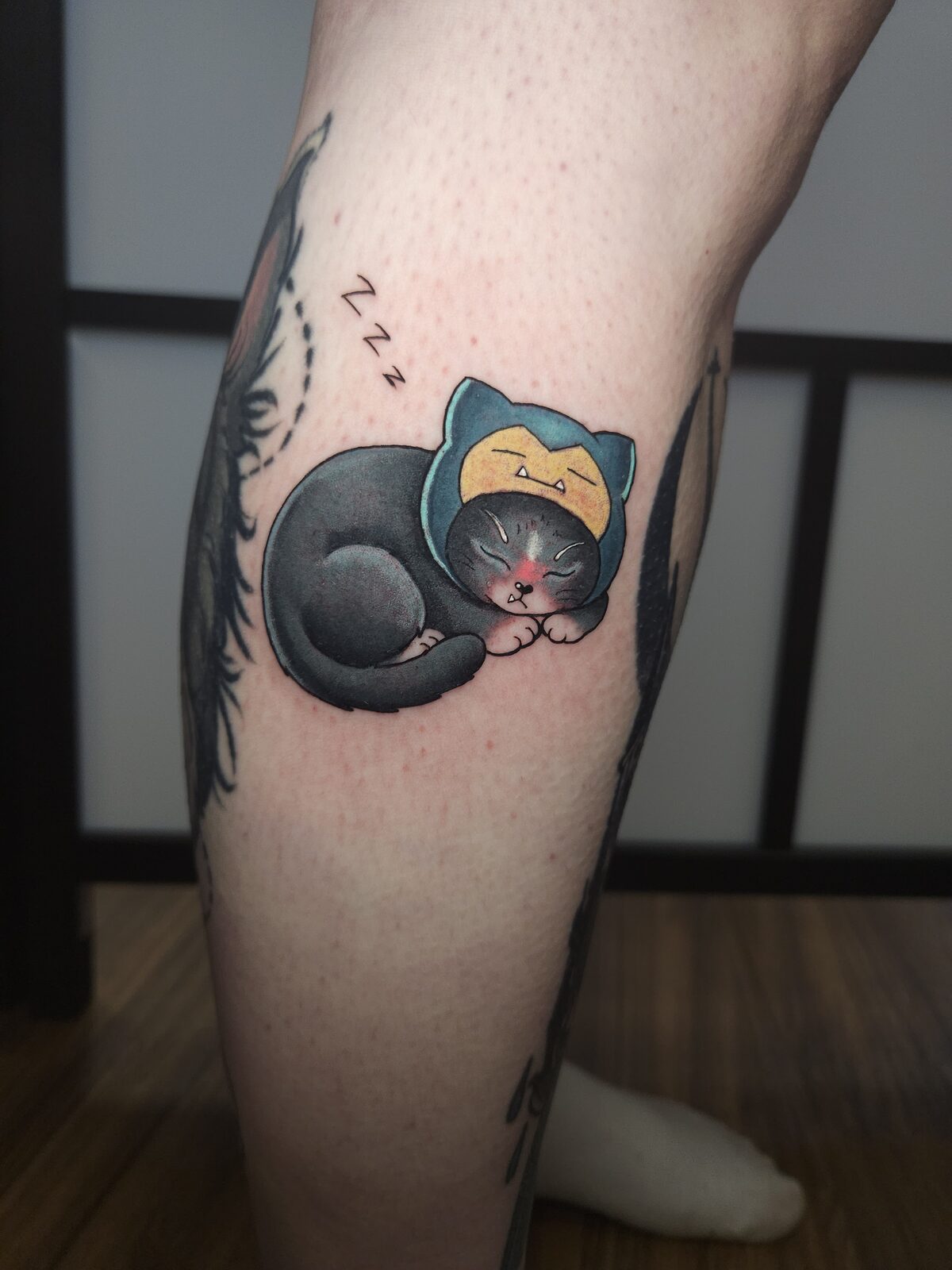 Gato dormido con gorro de Snorlax en el gemelo