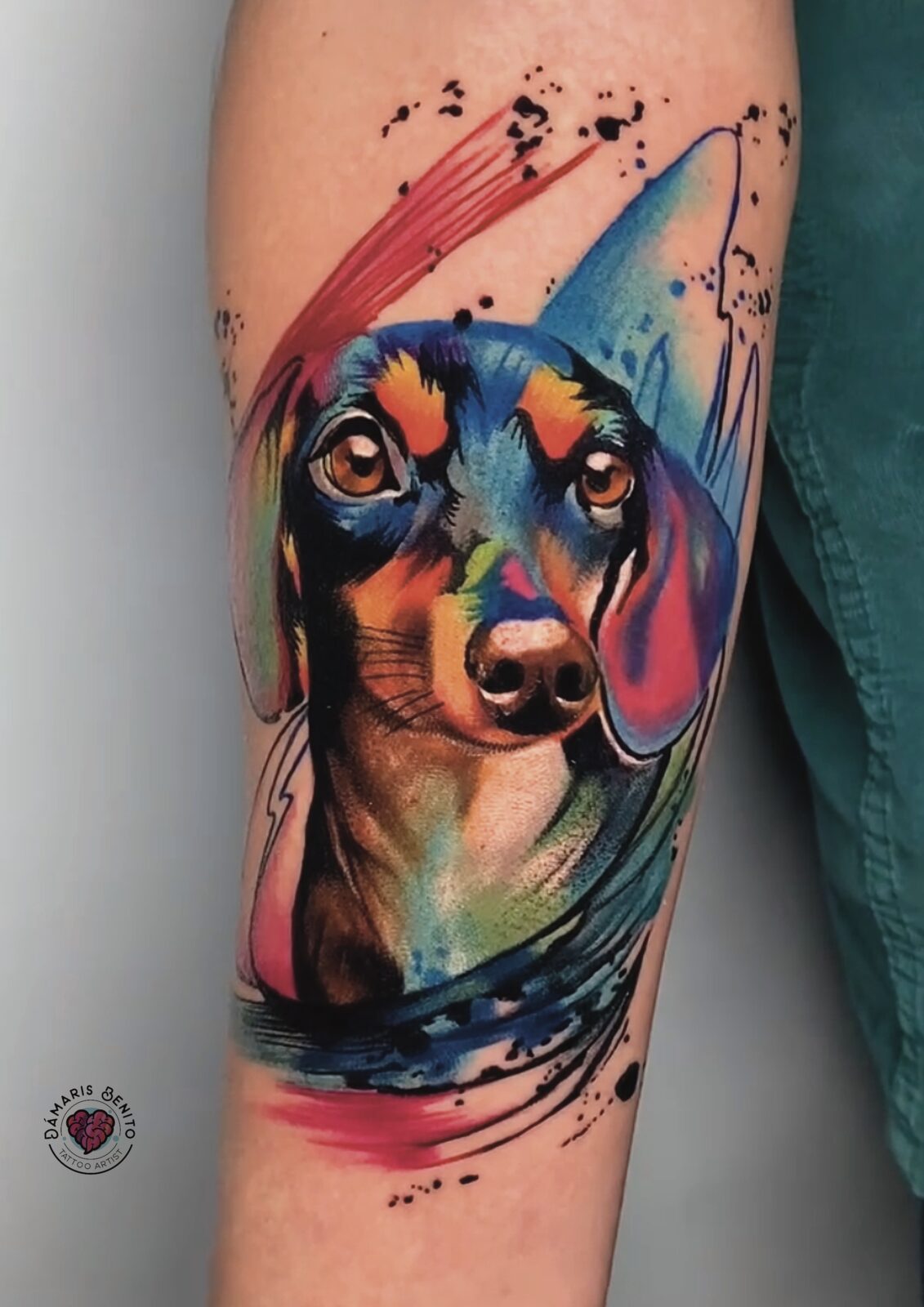 Retrato de perro teckel a color en el brazo