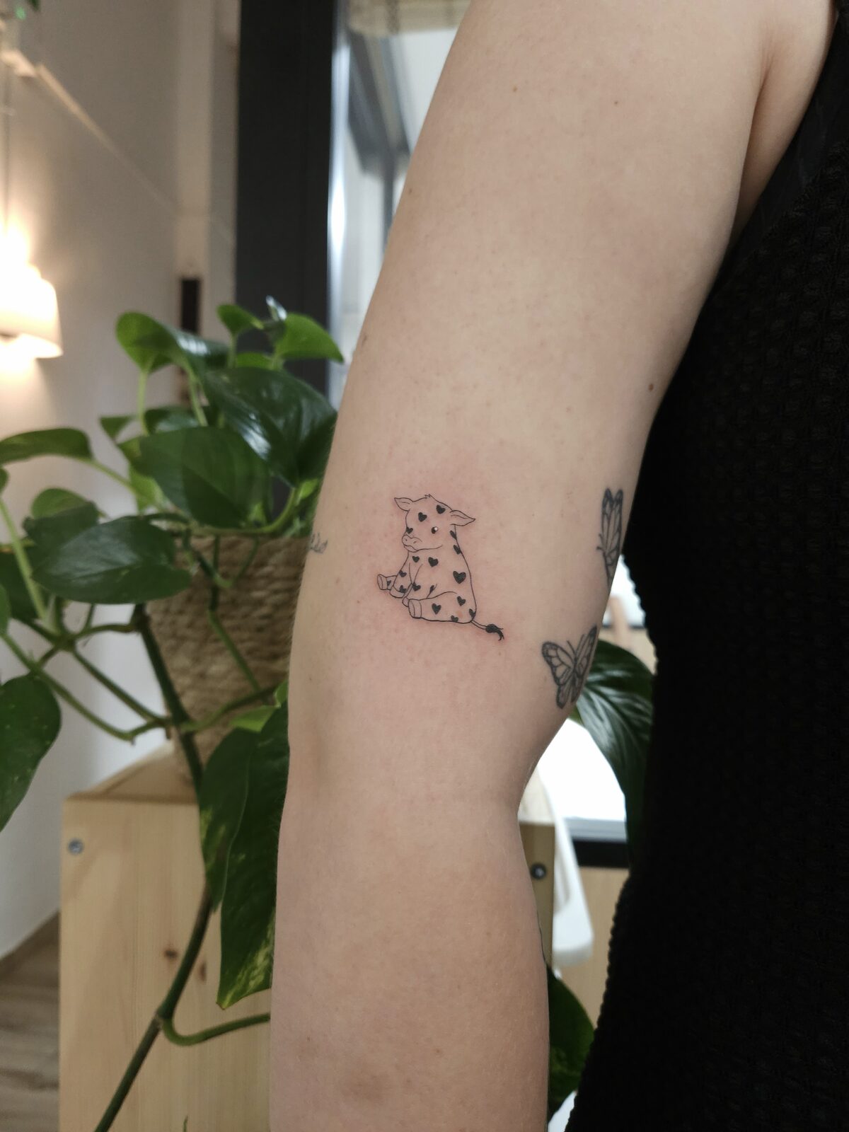 Gato pequeño con motas en línea fina en el brazo