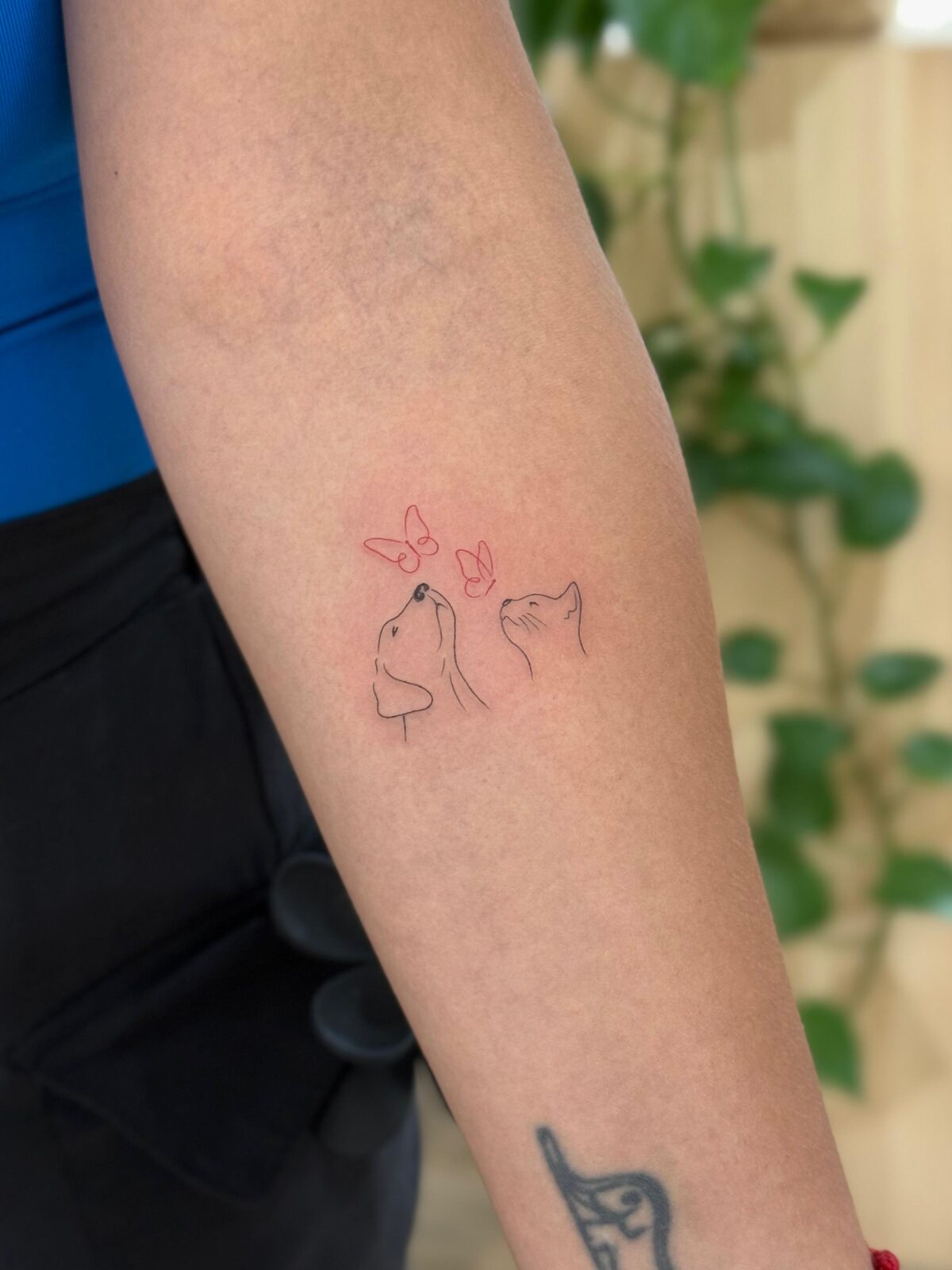Gato y perro en línea fina con mariposas rosas en el antebrazo