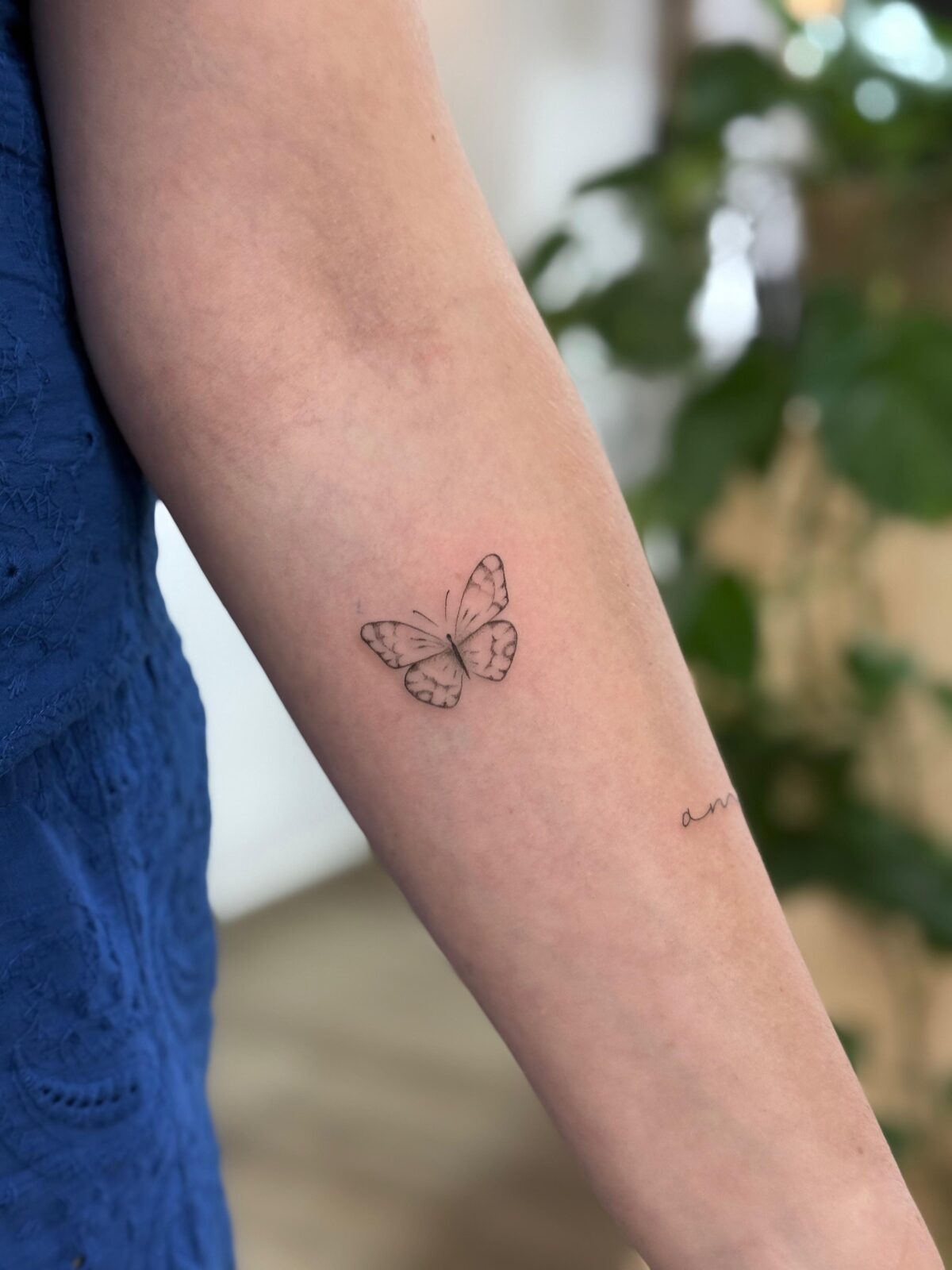 Mariposa mini en línea fina en el antebrazo