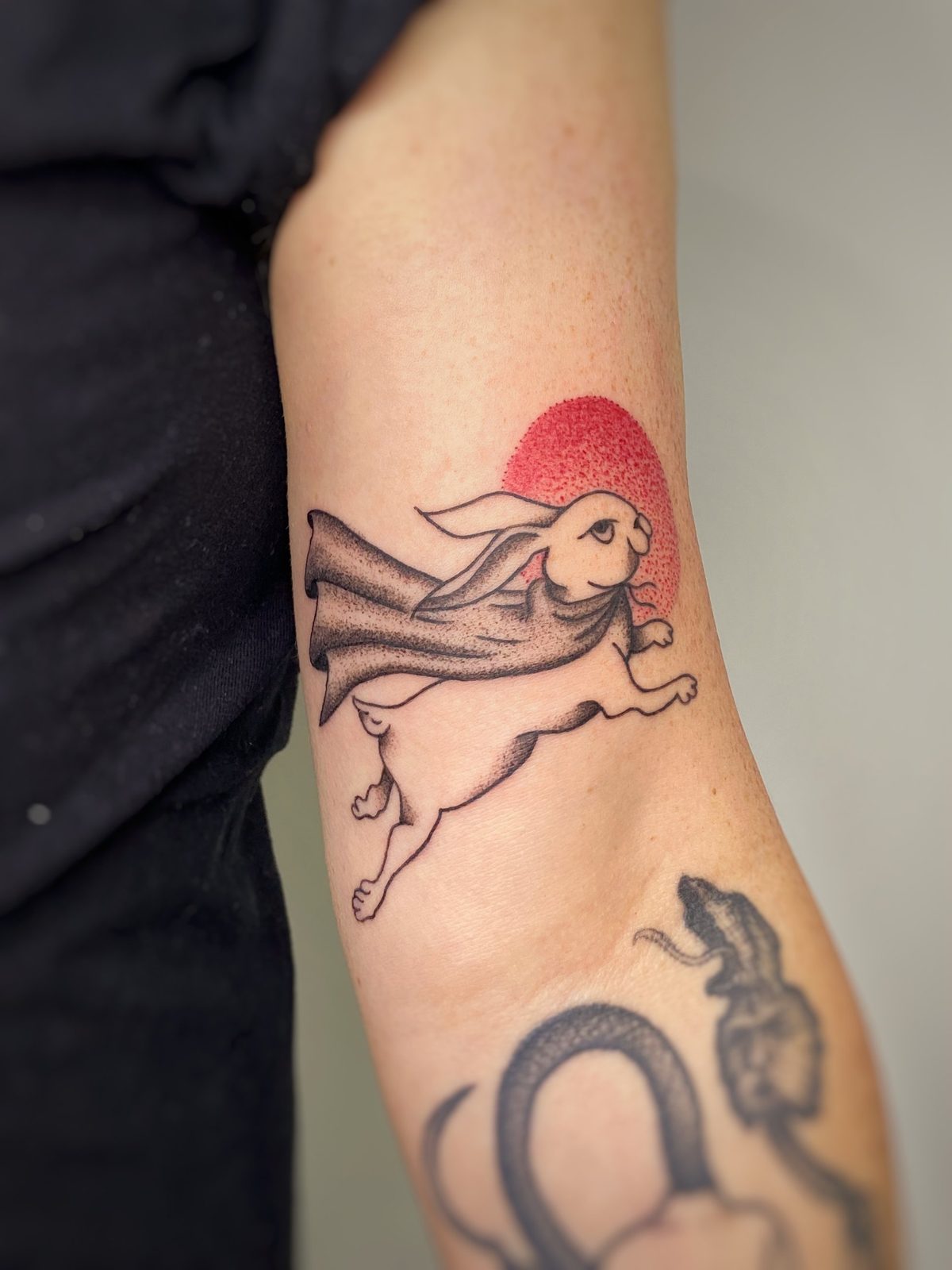 Conejo con capa saltando delante de un sol rojo en el brazo
