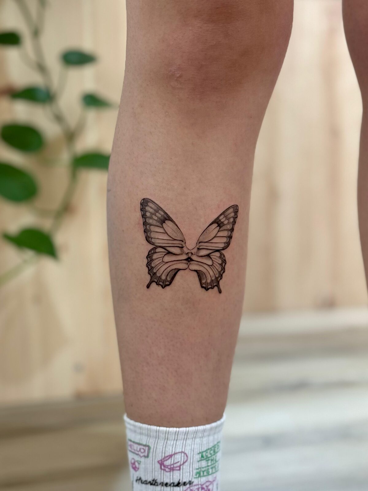 Mariposa en negro y grises en el gemelo