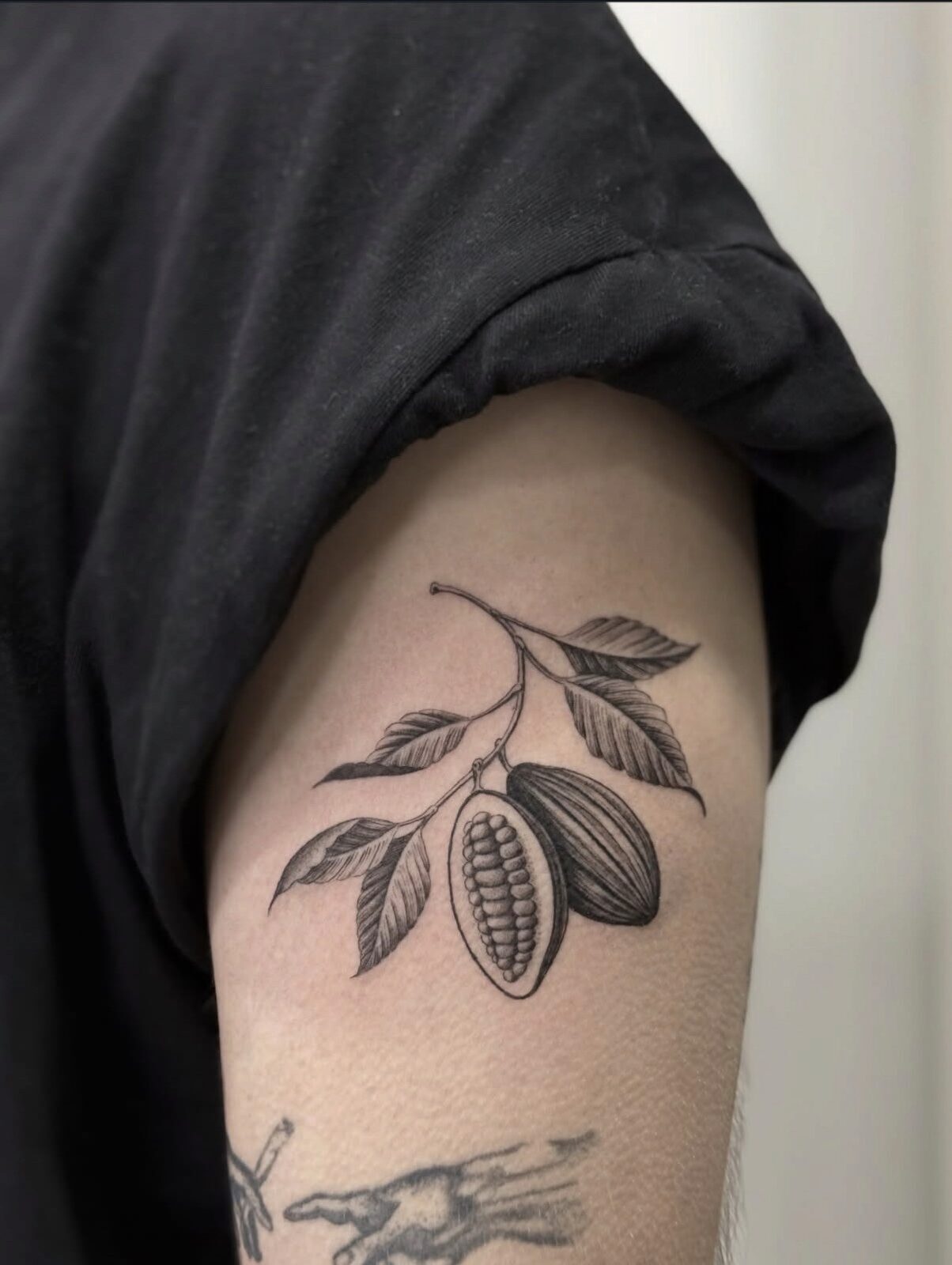 Rama de cacao en negro y grises en el brazo