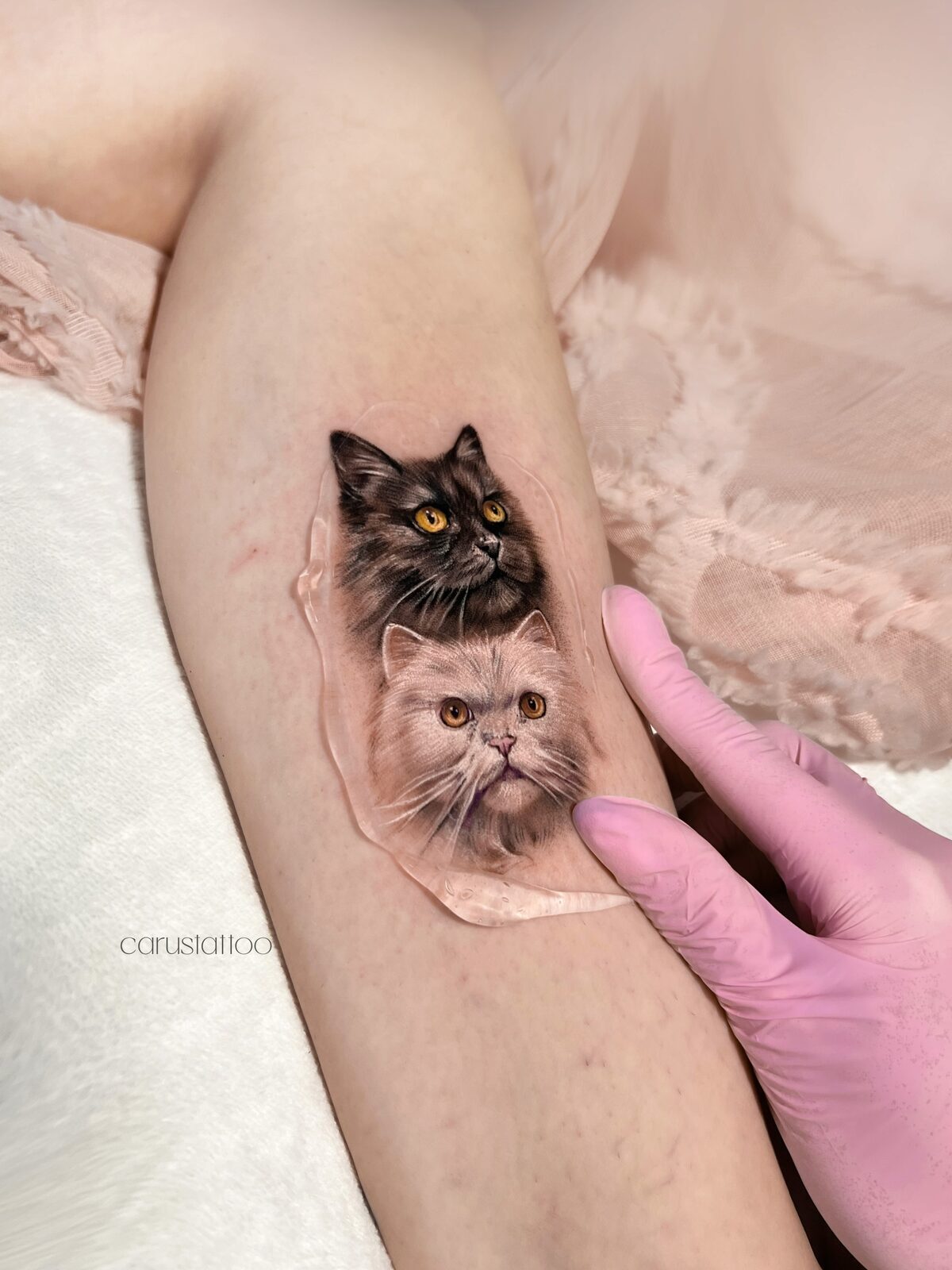 Retrato realista de dos gatos en el brazo